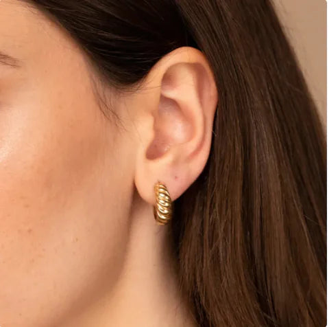 Twisted Semicircular Hoop Earrings