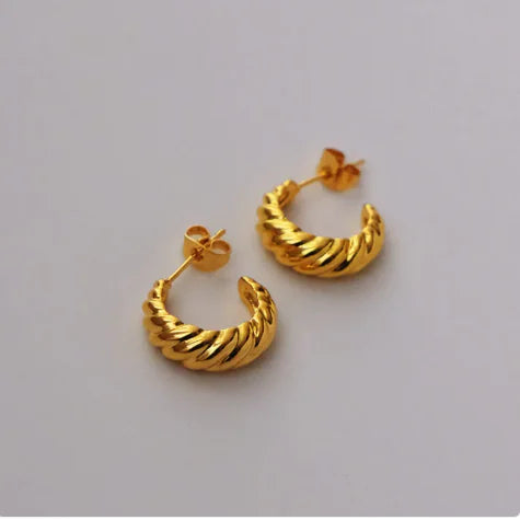 Twisted Semicircular Hoop Earrings